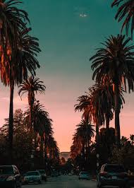 Hollywood Palm Trees Poster Print By Uncommon Nature Displate In 2020 Landscape Wallpaper California Pictures Beautiful Landscape Wallpaper