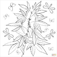 Download and print these marijuana coloring pages for free. Marijuana Coloring Page Free Printable Coloring Pages Coloring Home