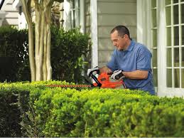 Black And Decker Electric Hedge Trimmer The Best Power Hedge Trimmers For Landscaping Best Hedge Trimmer Hedge Trimmers Trimmers
