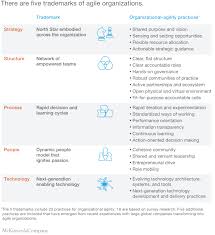 the five trademarks of agile organizations mckinsey