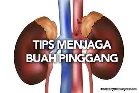 Buah pinggang yang sihat boleh dipindahkan dari penderma hidup atau boleh diambil dari penderma secepat mungkin selepas mereka meninggal dunia. 11 Punca Buah Pinggang Rosak Yang Kita Boleh Elakkan Sentiasa Panas