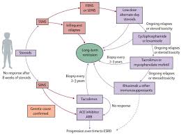 The Lancet On Twitter Prednisone Is The Main Therapy For Children With Idiopathic Nephrotic Syndrome Who Are Steroid Responsive However The Disease Can Run A Frequently Relapsing Course Necessitating Alternative Immunosuppressive Drugs