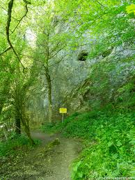 Randonnee En Belgique A Pied Dans La Province De Namur Wallonie Randonnee Belgique Idee Voyage Europe
