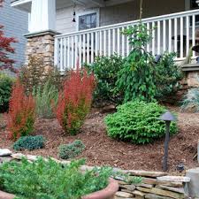 In today's design, we will mean more of a loose, native plant driven design that is inspired by. Dwarf Weeping Norway Spruce Front Yard Ideas Houzz