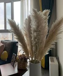 Pampas Grass 3 Stems 47 In Natural Dried Pampas Grass Decor Reed Plume Dry Boho Wedding Flower A Pampas Grass Decor Grass Decor Pampas Grass