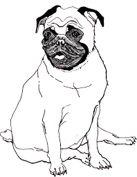 We have over 50 really cute designs that will help you occupy and educate your young children and students. Pug Puppy Coloring Pages Free