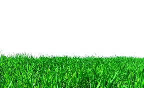 We are here to help you with reviewing and choosing the available products. Lawn Definition And Meaning Collins English Dictionary