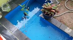 Kolam Ikan Hias Mini Dan Kelengkapannya In 2020 Outdoor Decor Mini Pool