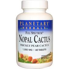 There are more than a hundred different species in the opuntia genus but many of them share similar physical and nutritional profiles. Planetary Herbals Nopal Prickly Pear Cactus