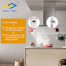 Inert gas, water, light oil, cryogenic, hot water, steam, vacuum, fuel gas features. House Natural Gas Leak Detector Home Gas Alarm Leak Tester Lpg Gas Sensor With Dn20 Solenoid Valve Auto Shut Off Security System Aliexpress