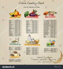 colorful calorie chart healthy elementary food stock vector