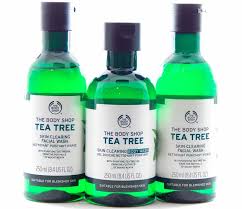 Tea tree is nature's alternative to harsh ingredients; The Body Shop Tea Tree Skin Clearing Skincare Line Nadeen S Beat