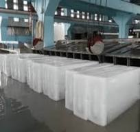 Ice Plant