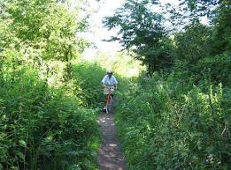 På cykeltur gennem den smukke Mølleådalen på Sjælland | AnneVibekeRejser