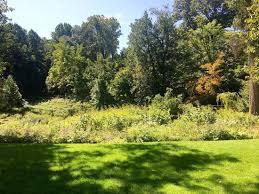 Surrounded by 50,000 blooming daffodils is a good way to say hello to spring. Reeves Reed Arboretum Picture Of Reeves Reed Arboretum Summit Tripadvisor