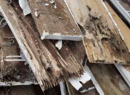 They are quick to respond and always deliver in a professional. A Look At Hud Termite Reporting Requirements All Star Pest Management Inc