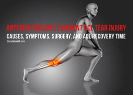 Pin On Rehabilitation And Exercise