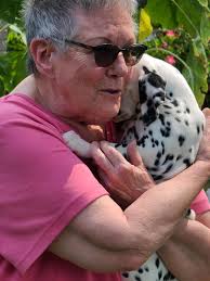 Dalmatians' experiences with water