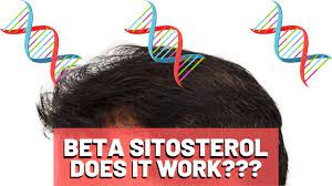 For greater benefits, you are advised to use a combination of palmetto and beta sitosterol. Beta Sitosterol For Hair Growth Benefits Treatments And Side Effects Hairguard