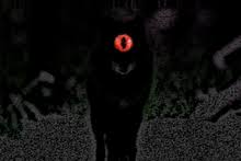 It can look like there are several squiggly pink or red lines on the sclera or the entire sclera may appear diffusely pink or red. Black Shuck Wikipedia