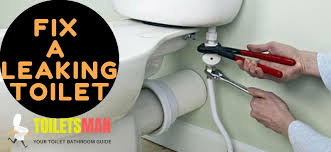 Check spelling or type a new query. How To Fix A Leaking Toilet Toiletsman