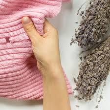 In einer tiefkühltruhe) über einen zeitraum von mehreren tagen sind tödlich. Kleidermotten Bekampfen Diese Tipps Helfen Stern De