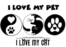 Download Cat Lover Graphic By Jgalluccio Creative Fabrica SVG Cut Files