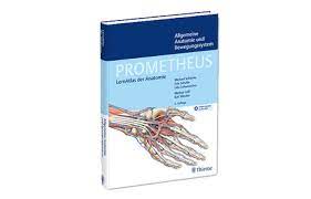 Ich suche das anatomiebuch ,,der körper des menschen faller schünke vom thieme verlag 14.auflage!!! Prometheus Allgemeine Anatomie Und Bewegungssystem Vorklinik Via Medici