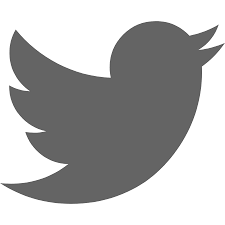 Image result for twitter logo black