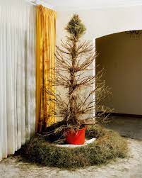 Trent parke christmas tree bucket. A Summertime Christmas Down Under Trent Parke S Family Photo Album Time