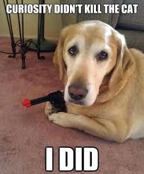 Laugh Out Loud With The Best Dog Memes Of 2021 Sure, funny baby memes are cute too but the following funny memes are hilarious and are sure to…