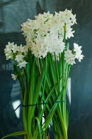 Some animals and plants smell plain horrible, making whiffs of excrement or rotting meat. 14 Plants That Stink Hgtv