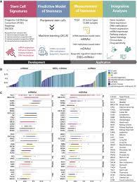 月光变奏曲 月光變奏曲 初礼来了 初禮來了 yue guang bian zou qu chu li lai le variations of moonlight. Machine Learning Identifies Stemness Features Associated With Oncogenic Dedifferentiation Sciencedirect