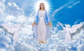 Newcastlebeach provides you with 9 free assumption of mary online puzzle games. Happy Feast Of Assumption Of Mary For Android Apk Download