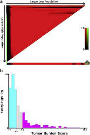 Tumor Burden Score Predicts Tumor Recurrence Of Non Functional Pancreatic Neuroendocrine Tumors After Curative Resection Hpb