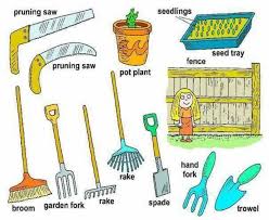 We've defined dozens of gardening terms and phrases for you! In The Garden Vocabulary Eslbuzz Learning English