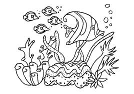 Reefs are formed of colonies of coral polyps held together by calcium carbonate. 31 Coral Reef Fish Coloring Pages Ideas Fish Coloring Page Coloring Pages Coral Reef