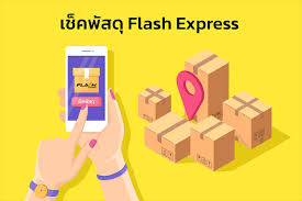 ตรวจ สถานะ flash animation