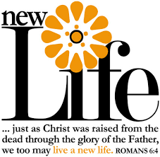 As glasses are raised in the air, we feel that hope and loves is gently entering in our houses and slightly into our hearts and soul. Resurrection Clip Art And Images For All Your Easter Season Needs Churchart Online