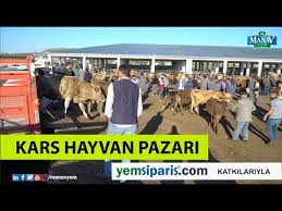 Kars Ta Kurbanlik Cok Alan Yok Youtube