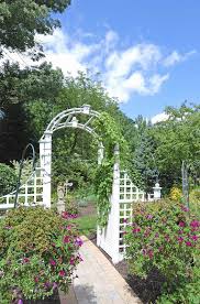 Trees add structure and drama to a garden but their size and potential to cause nuisance or damage means they can sometimes be a worry. Staggering Tips Small Fence Screens Vertical Fence White Privacy Fence Plants Small Fence Screens Cheap Bamboo Fence