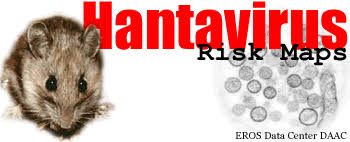 Hantaviruses are a family of viruses spread mainly by rodents and can cause varied disease syndromes in people worldwide. Hantavirus Risk Maps