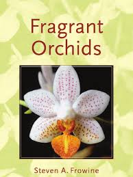 Image result for Polystachya campyloglossa