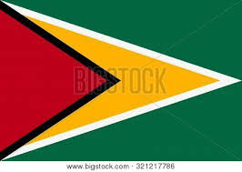 We did not find results for: A Guyana Flag Background Flag Illustration Red Yellow Green Star Black Poster Id 321217786