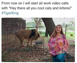 Hi, my name is crystal and i can't stop looking at tiger king memes. Tiger King Memes 20 Funny Joe Exotic Memes And More