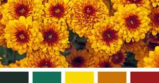 Pin By Kjersti Andreassen On Colors Color Palette Orange Color Palettes Color Schemes