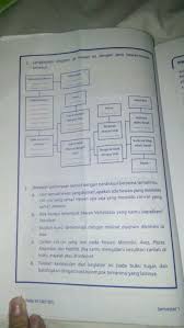 Check spelling or type a new query. Lakukan Langkah Berikut Untuk Menjawab Soal Di Atas1 Amatilah Bentuk Tubuh Dari Hewan Ikan Mujair Brainly Co Id