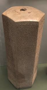 Image result for Thesium singulare