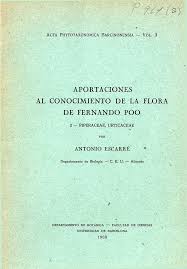 Image result for Pilea sublucens