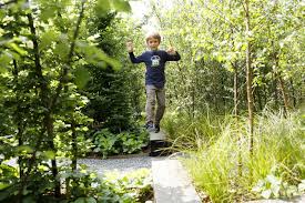 Dans Les Bois Domaine De Chaumont Sur Loire